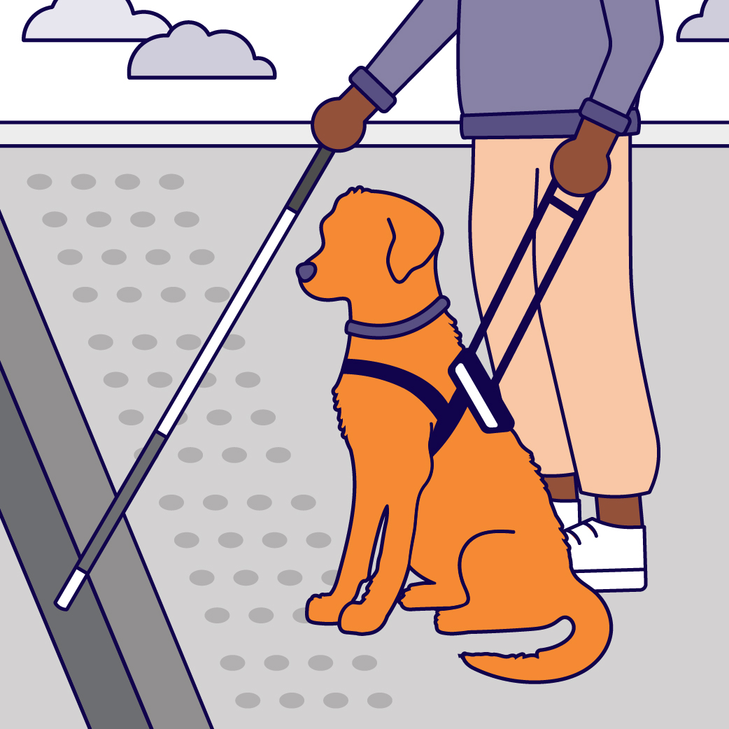 An illustration of a person standing next to a dog. They are holding a cane in one hand. In the their hand they are holding the harness of the dog. 